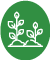 programa-replant